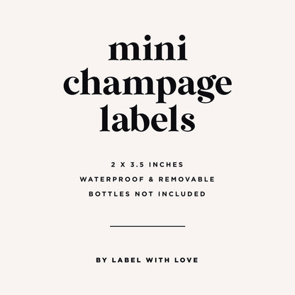 Bridesmaids Proposal Mini Champagne Labels,  Will You Be My Bridesmaid, Boho Bachelorette Party Favor, Ain't No Party Like a Bridal Party