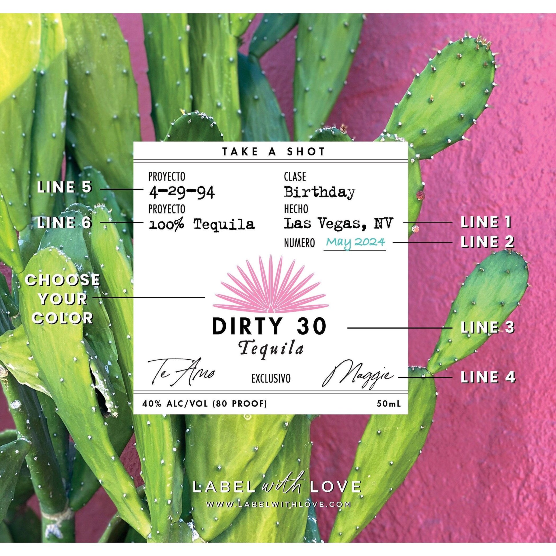 Birthday Tequila Labels 50 mL | 21st Birthday Party Favors | Casamigos Label | 30th 40 50 Birthday Fiesta | DIY Shot Stickers